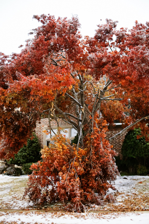 Dallas Wedding Photographers - K & S Photography